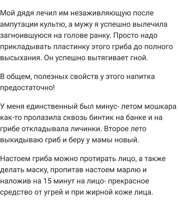 Чайный гриб зооглея медузомицет домашний квас комбуча