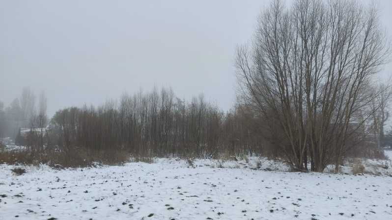 Oddam biomasę Lubanice
