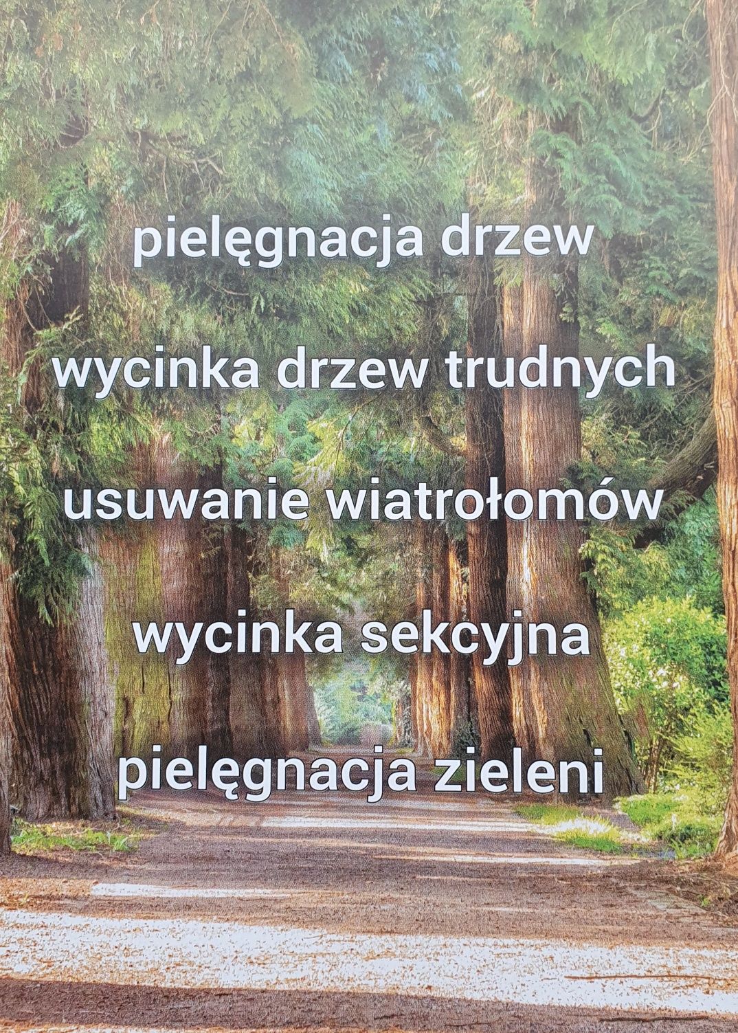 Wycinka drzew, pielęgnacja ogrodów