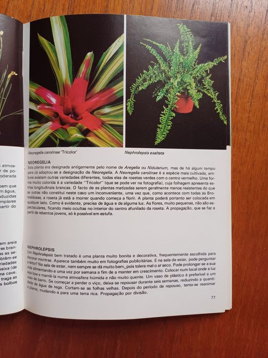 Plantas de Interior de Rob Herwig, coleção Habitat