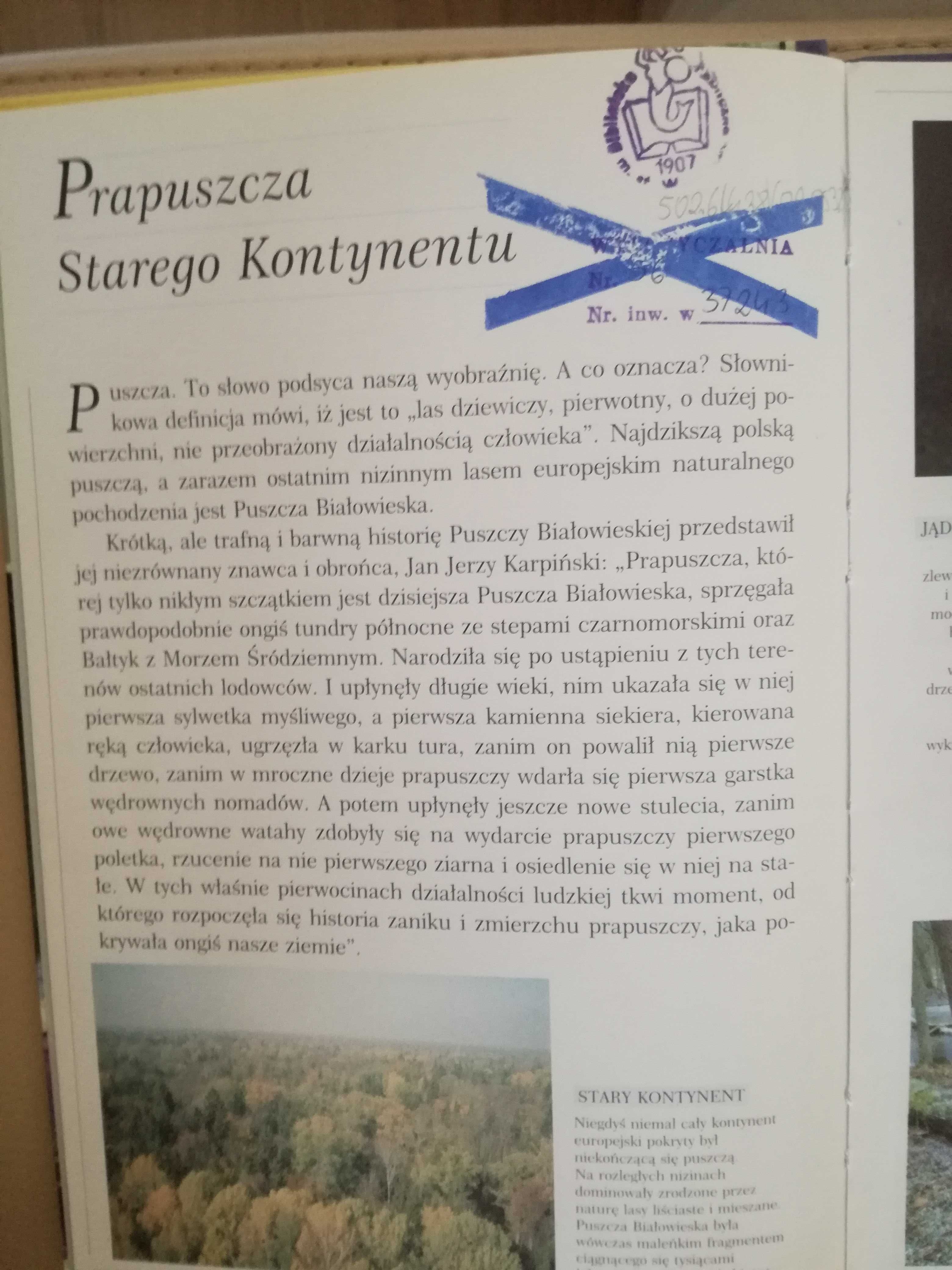 Jan Walencik	"Puszcza Białowieska"