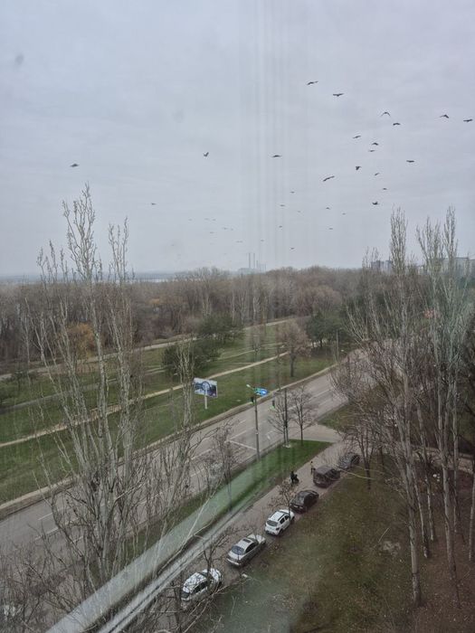 Аренда 1-комнатной квартиры, Победа-4, 38 м², дом 118