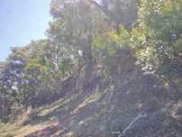Limpeza de terrenos