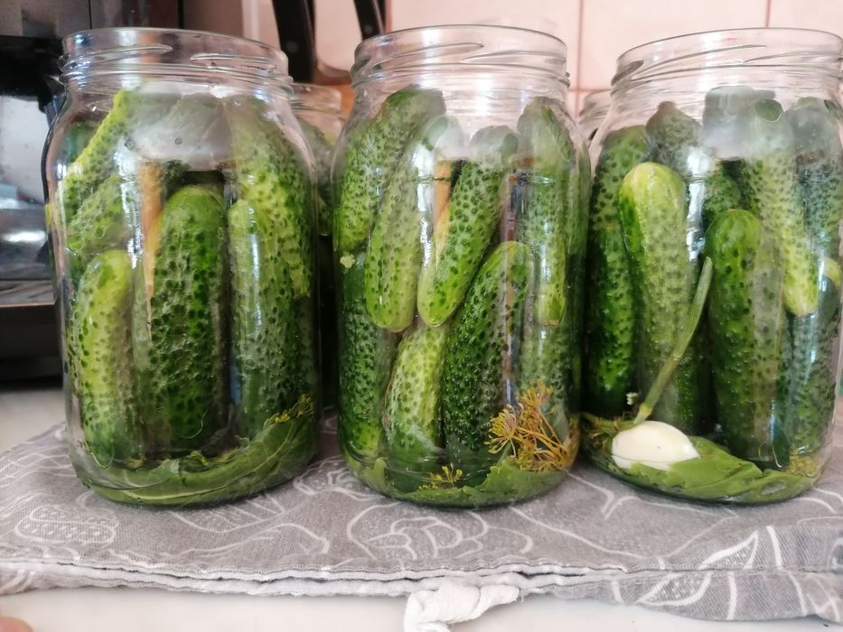 Ogórki kiszone 2025