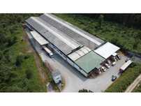 Armazém | VENDE | Zona Industrial do Soeiro (Carriça) - Trofa