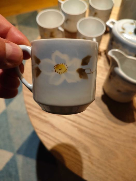 Porcelana C.T Altwasser Silesia