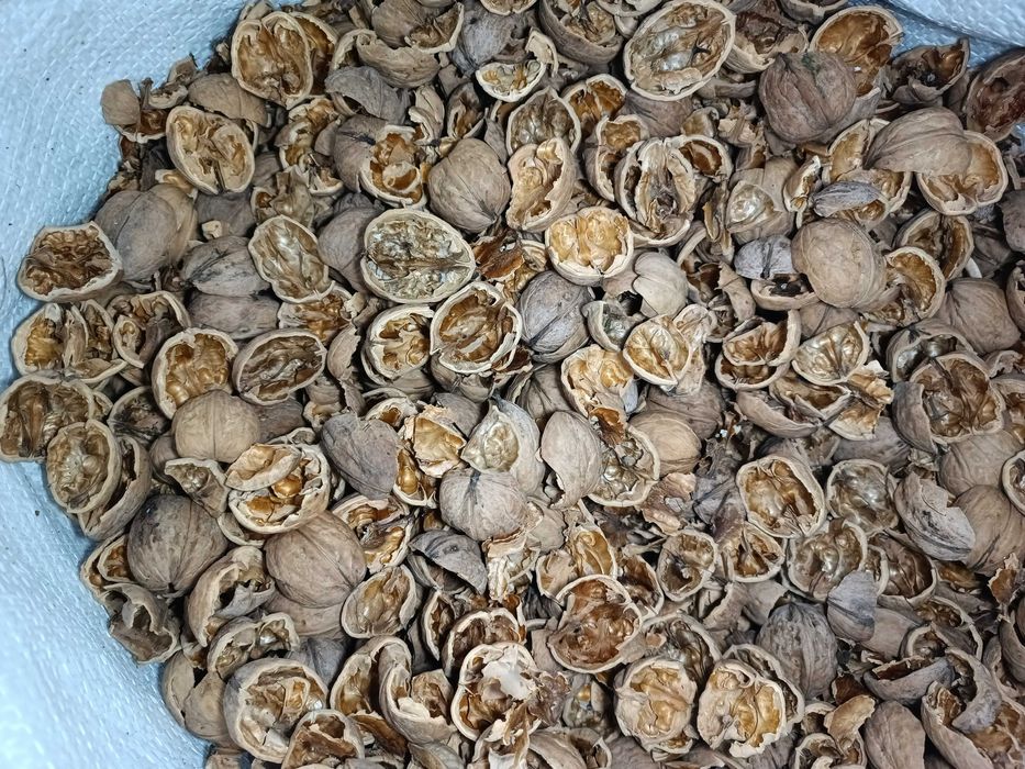Продам шкаралупу грецького горіха 200кг по 4грн/кг