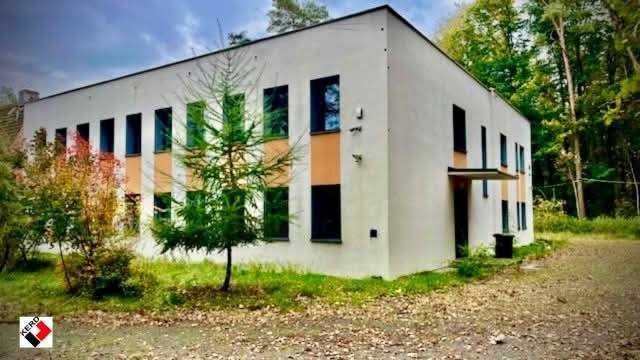 Biurowiec do wynajęcia