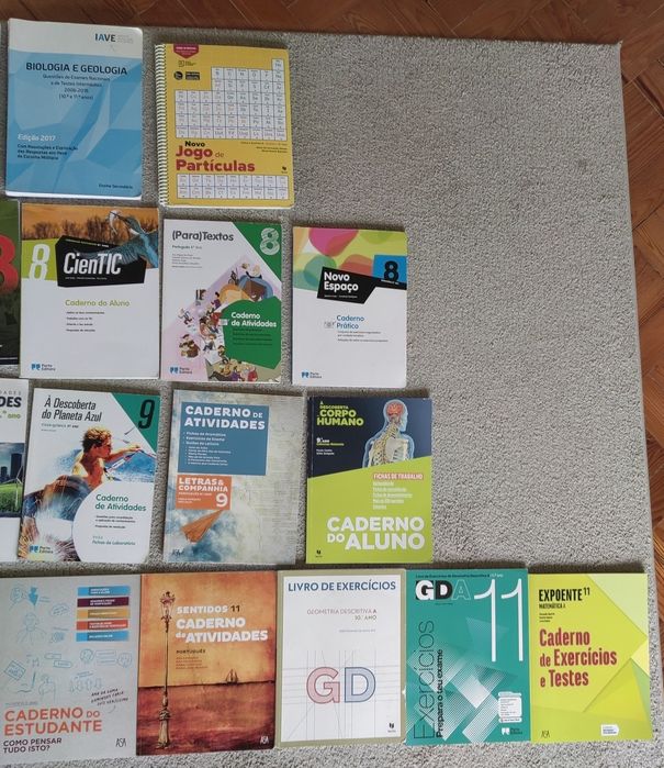 Diversos cadernos de atividades 8º ano , 9º ano, 10º ano e 11º ano