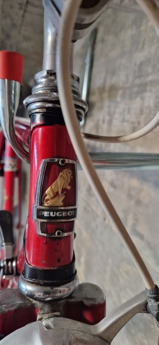 Bicicleta Vintage Peugeot Ciclismo anos 70