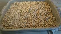 Pellet sosnowy 8 mm pelet producent