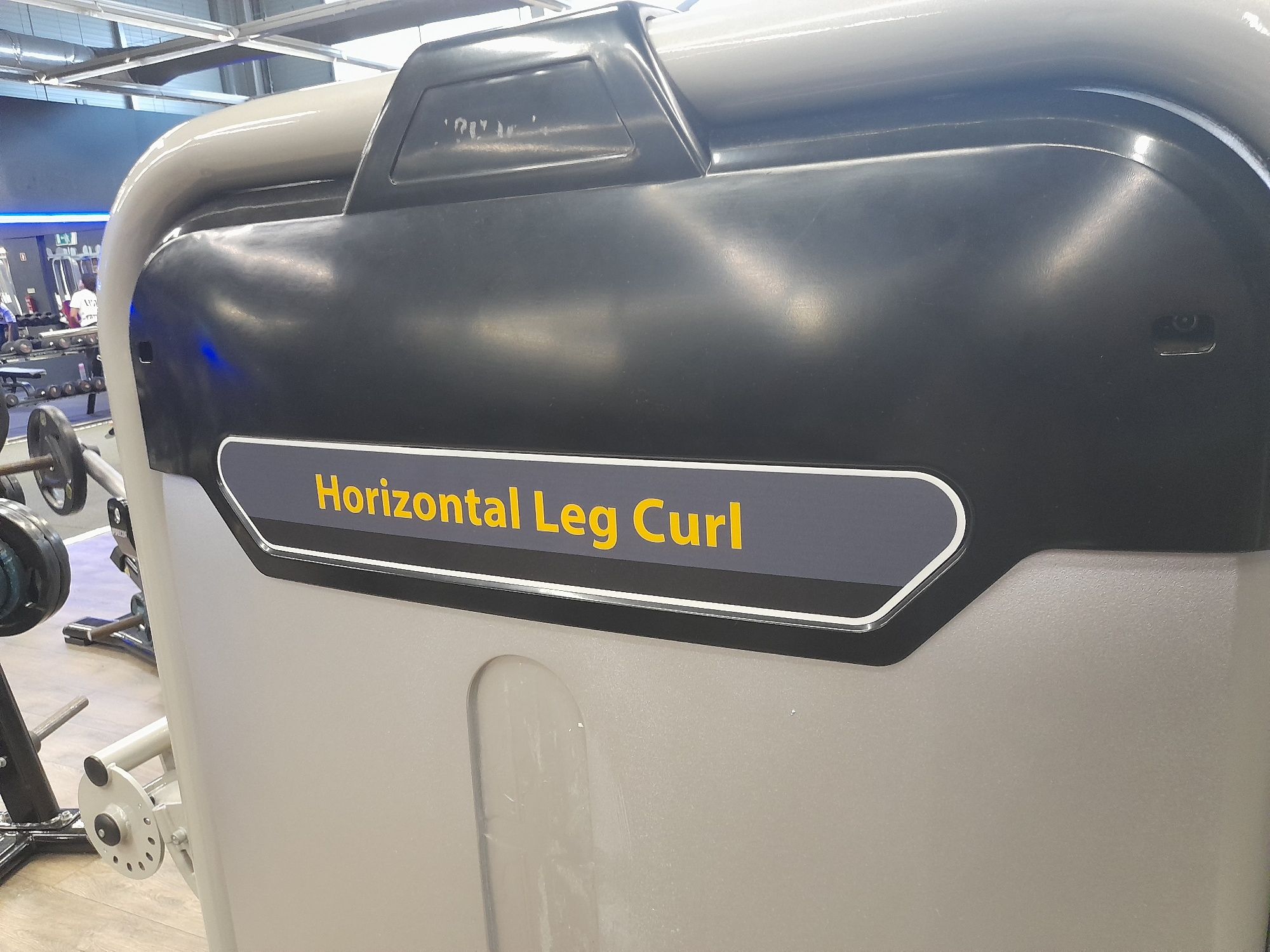 Leg Curl Ellipse