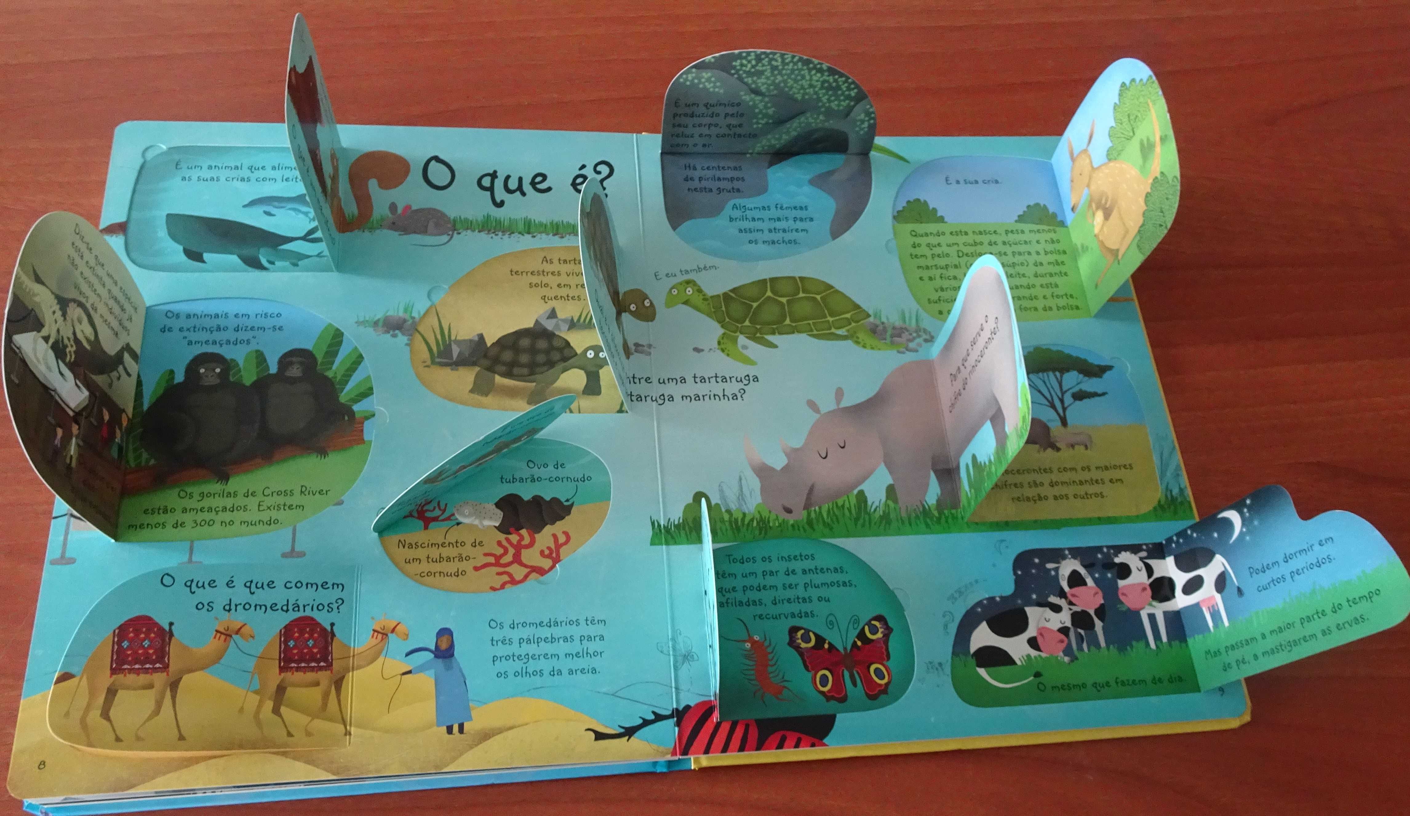 Espreita - Perguntas e Respostas Sobre Animais
