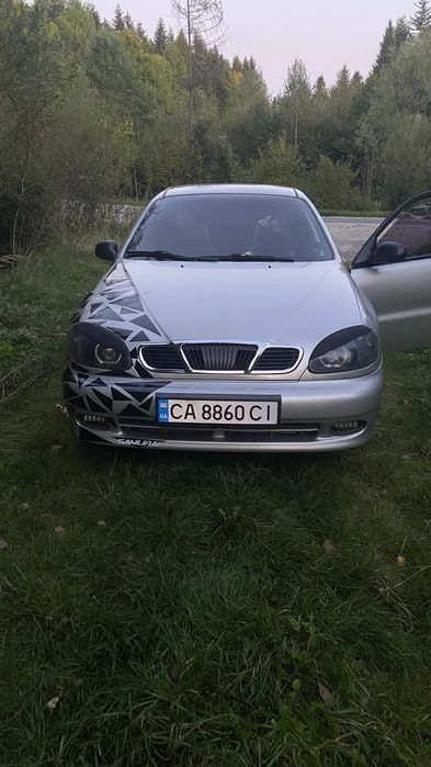 Ланос чистокровний поляк