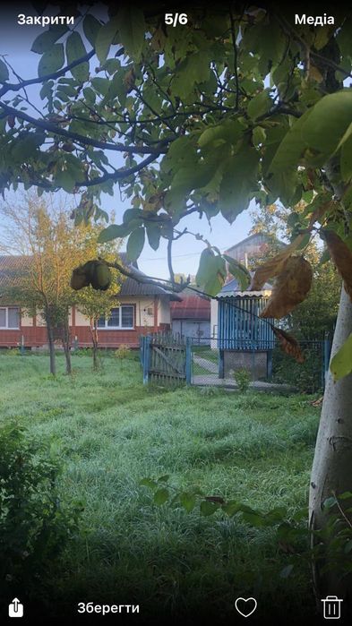 Будинок в Карпатах