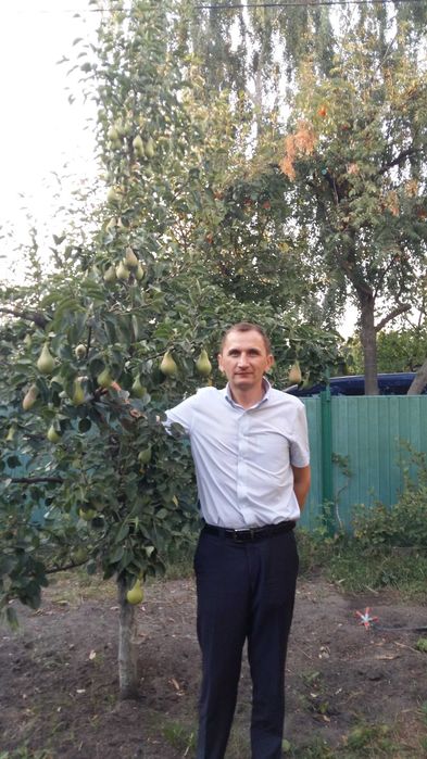 Обрізка плодових та декоративних дерев