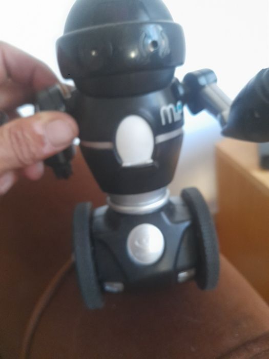 Robô inteligente