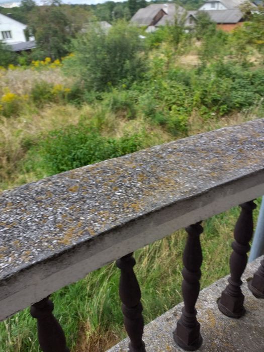 Терміновий продаж будинку з великою територією