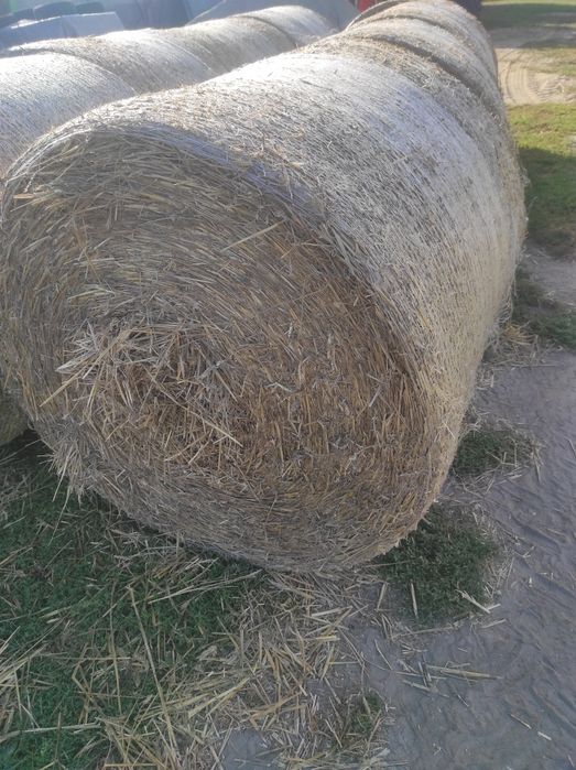 Słoma bele 120*120,transport