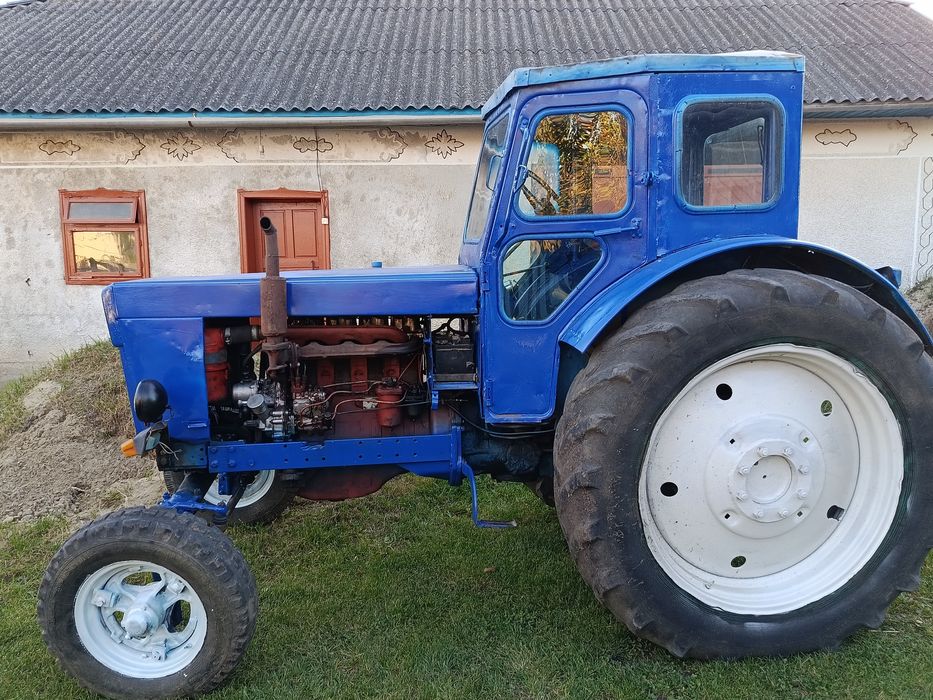 Продам робочого коника