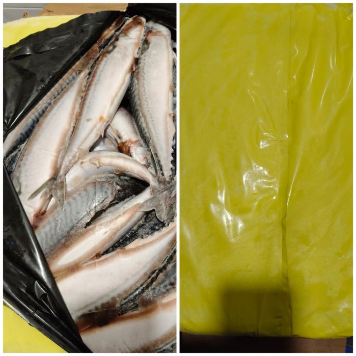 Лосось м'ясо Підшкірне