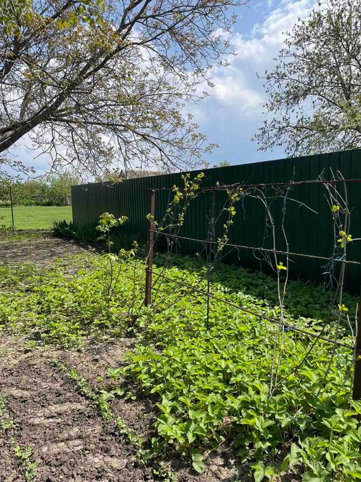 Продаю дом с удобствами в Центре, с.Губиниха, Самарский район
