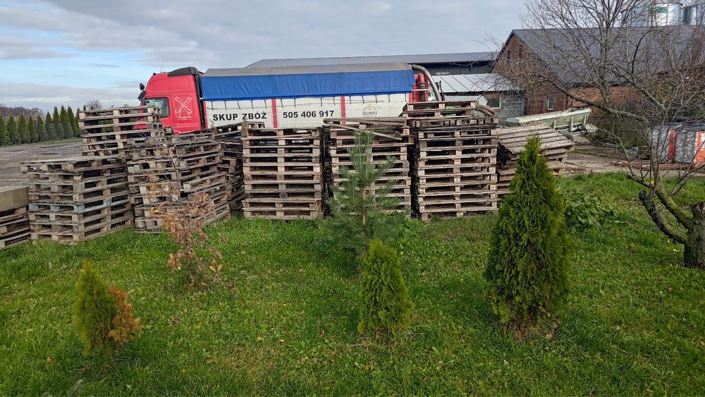 Palety euro i jednorazowe 120x80