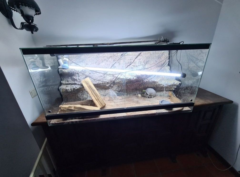 Terrário para répteis + alimentação viva
