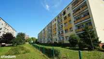 Do wynajęcia 2-pokojowe w centrum na parterze