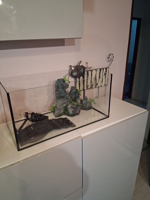 Akwarium z wyposażeniem