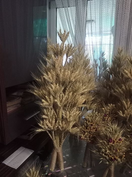 Дідух,різдво,подарунок,свято, пшениці овес льон, жито