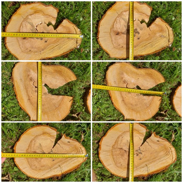 Plastry drewniane jabłoń