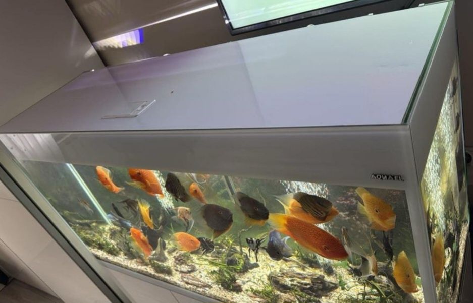 Aquael glossy 120 akwarium 260l