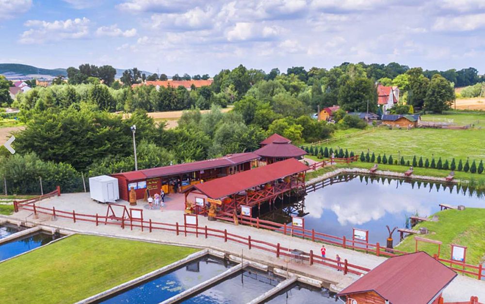 Działka rekreacyjna 0,65ha - Bolkowice, gm. Paszowice