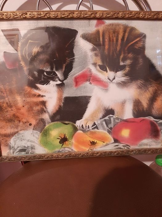 Obraz z kotkami PRL