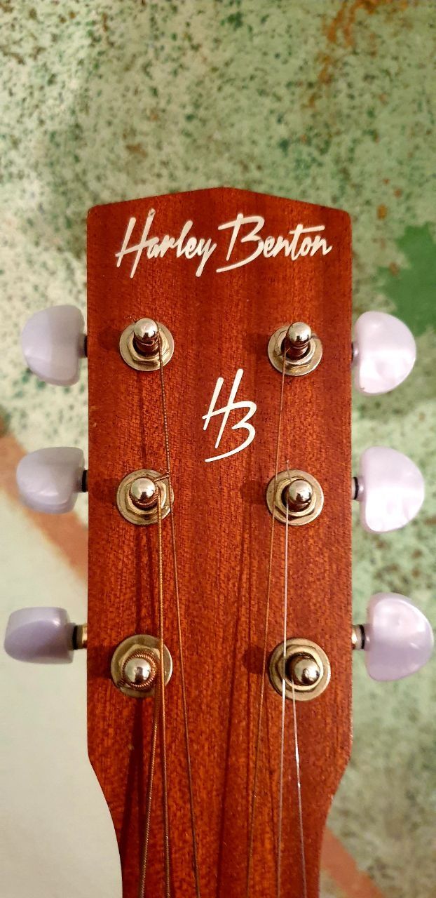 Акустична гітара Harley Benton  та Takamine gd20 ns