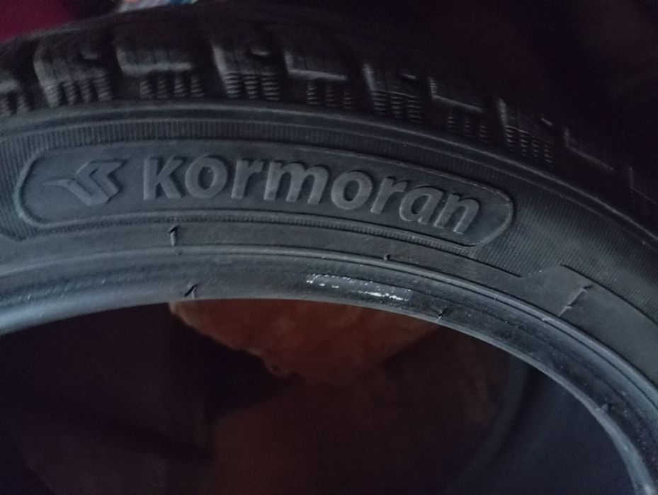 Зимова ризина.Вживана.