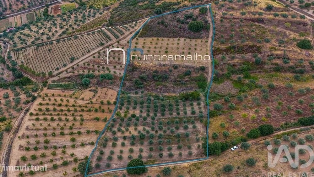 Terreno em Poço do Canto de 11872,00 m2