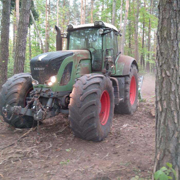 Wycinka drzew, mulczer , czyszczenie działek utylizacja korzeni