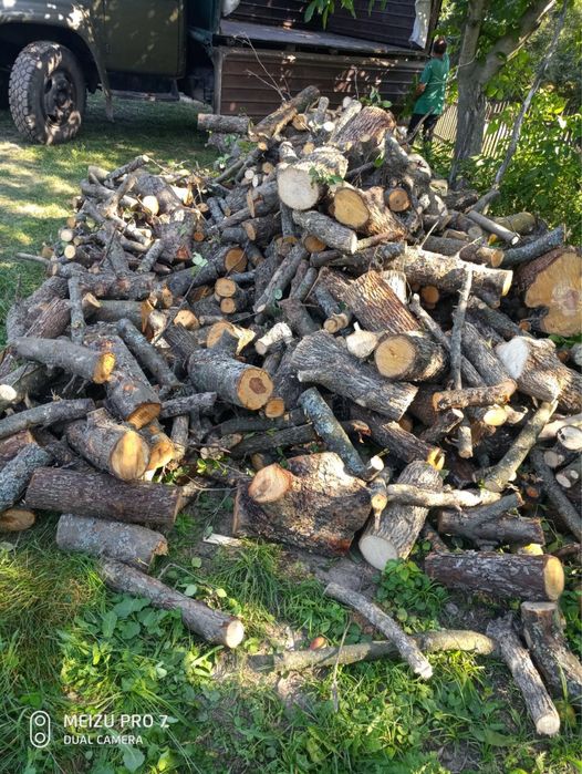 Продам дрова в кузові 8 кубів / Машина дров Дуб Клинок верба кленок