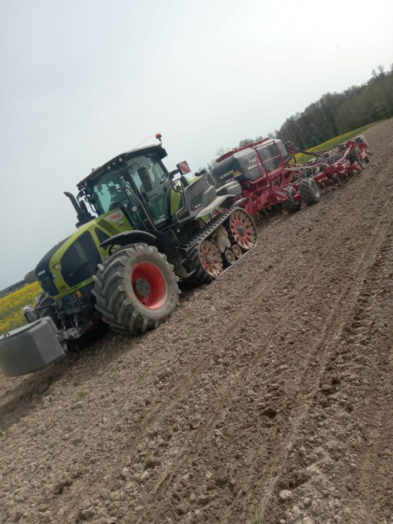 Usługowy siew w technologii strip till ,