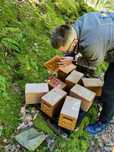 Matki Unasiennione naturalnie krainka i buckfast