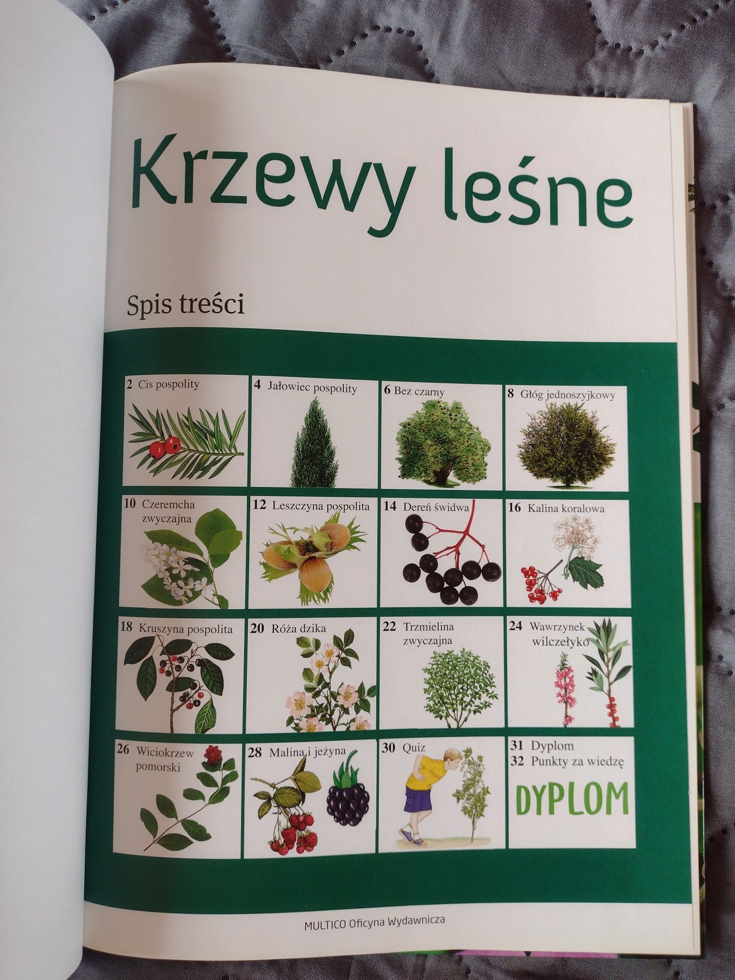 Młody obserwator przyrody -krzewy leśne