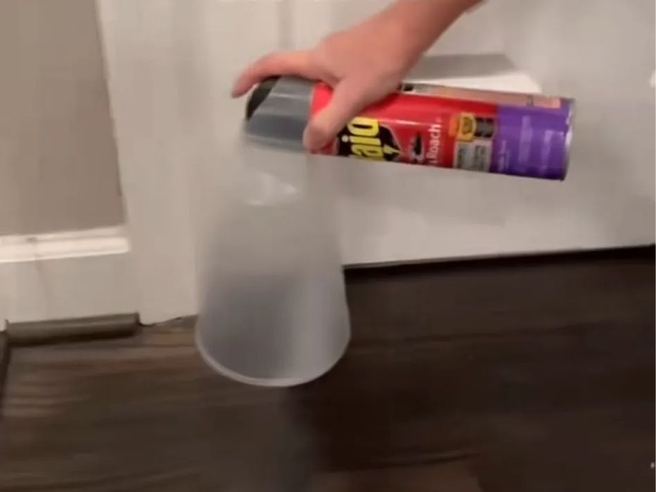 Tampa Protetora para Spray Inseticida