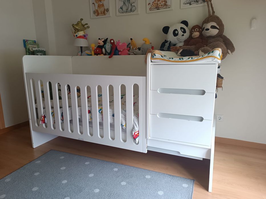 Berço Medular Trama