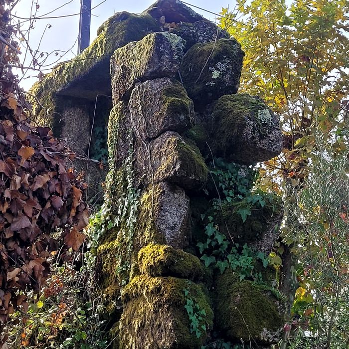 2 lotes , predio urbano com terreno