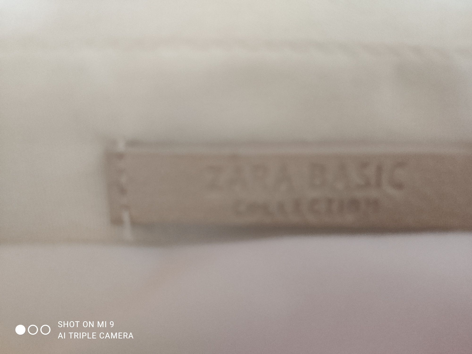 Знаменитая сумочка Zara вышита бисером