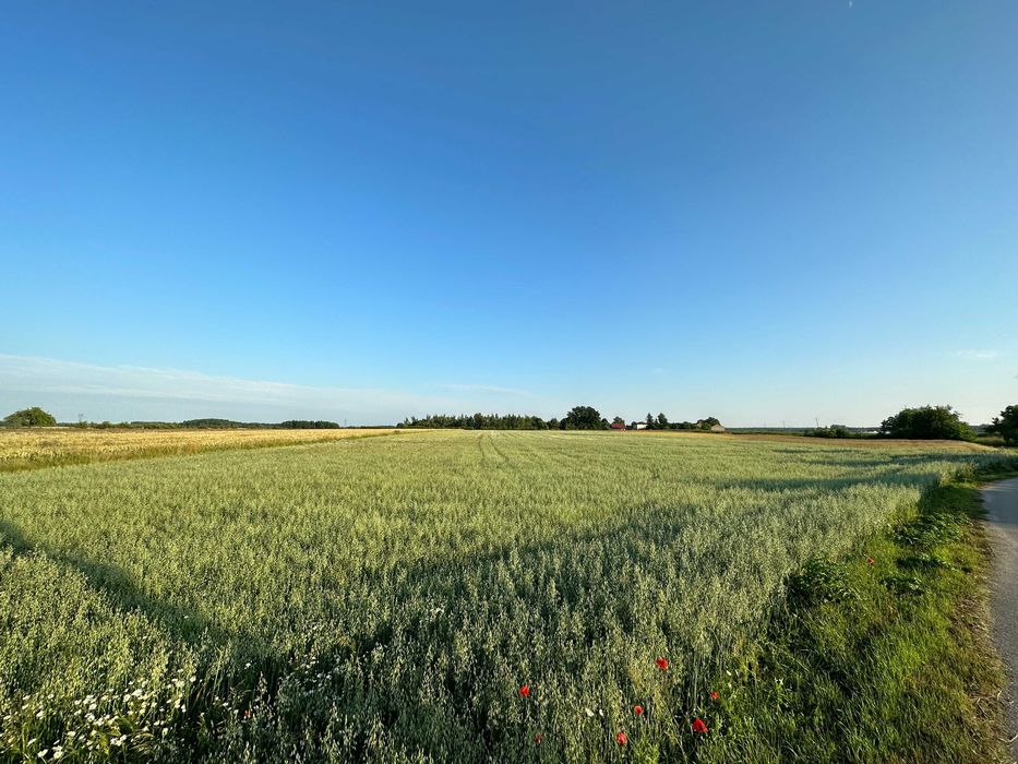 Sprzedam działkę rolno-budowlaną