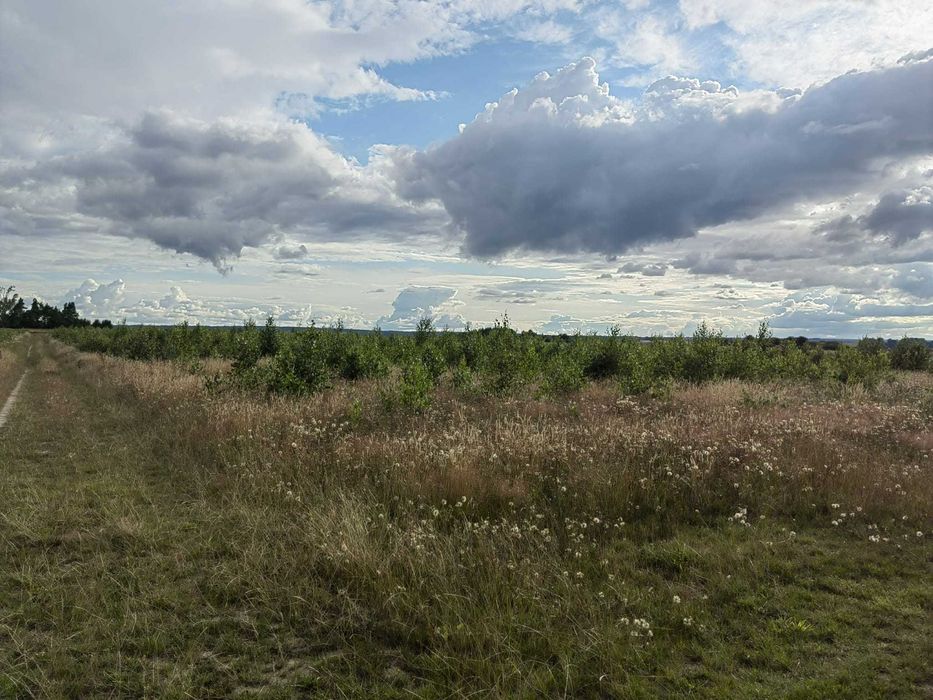 Działka budowlana blisko morza - Strzelno, ul. Szkolna