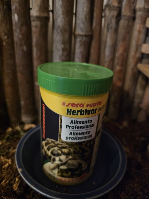 Terrario para animais